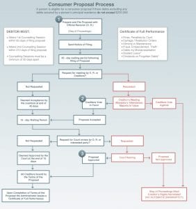 Consumer Proposal Process Map