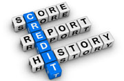 Credit History Report